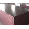 filmed plywood/bulk plywood/radiata pine plywood